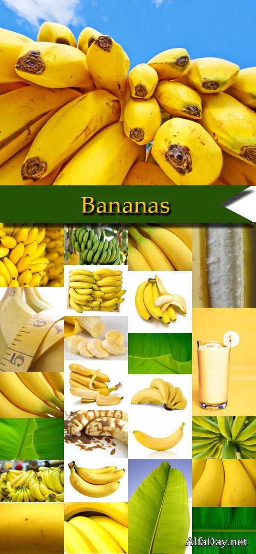 Stock photos bananas