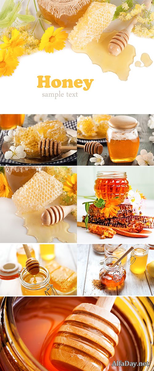Stock Photo Jar of honey and stick