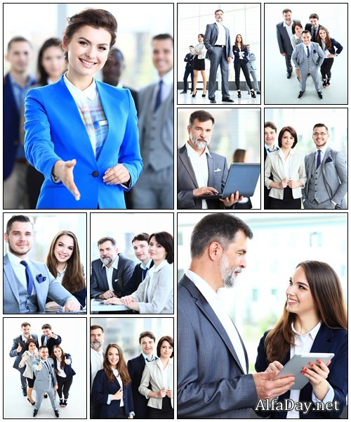 Business partners discussing documents - Stock Photo