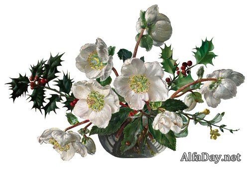 �������������� ���� - ��������� �� ���������� ����