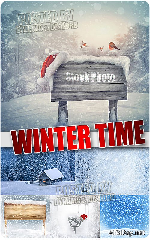 ������ ���� - ��������� �������