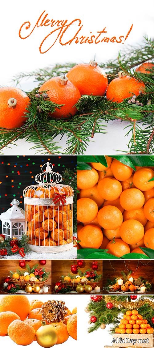 Stock Photo Christmas tree with gifts and presents and mandarines, isolated on white