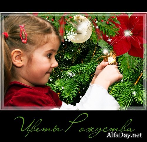 ����� ��������� - �������������� ����� �� ���������� ����