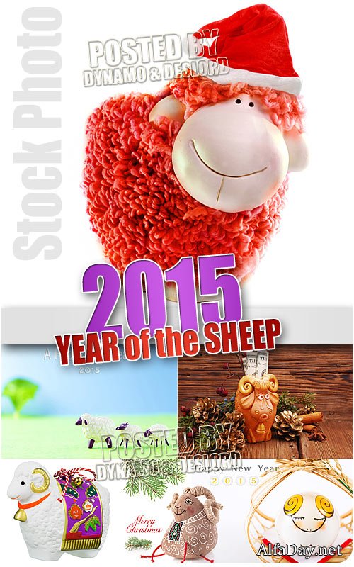 ���� - ������ 2015 ������ ���� - ��������� �������