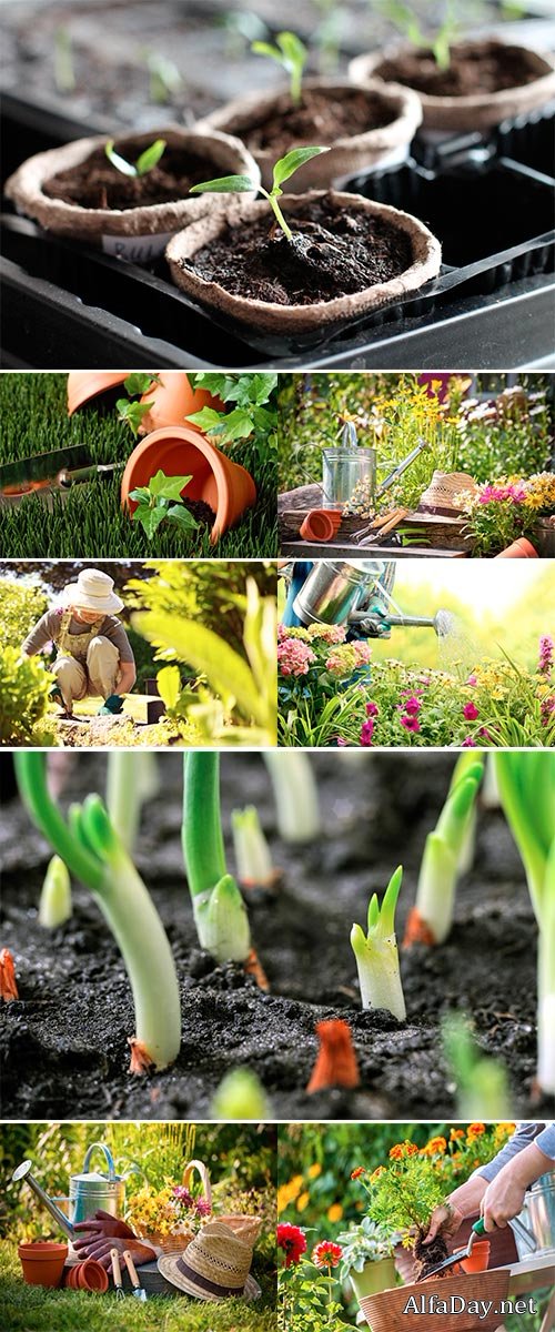 Stock Photo Gardening tools and a straw hat on the grass in the garden