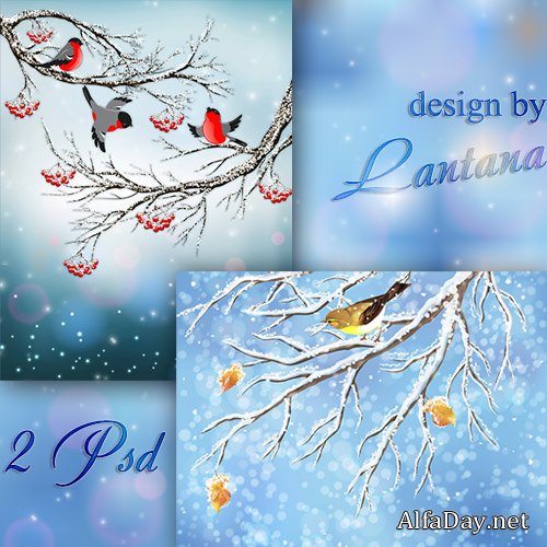 PSD ��������� ��� �������� - �������, ����� ������