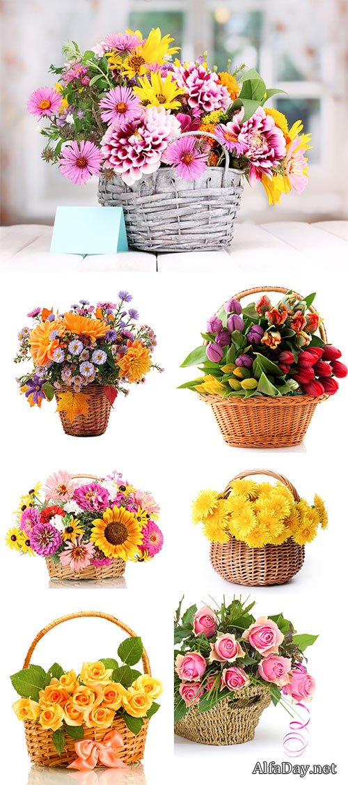 Stock Photo Beautiful bouquet of bright flowers in basket isolated on white