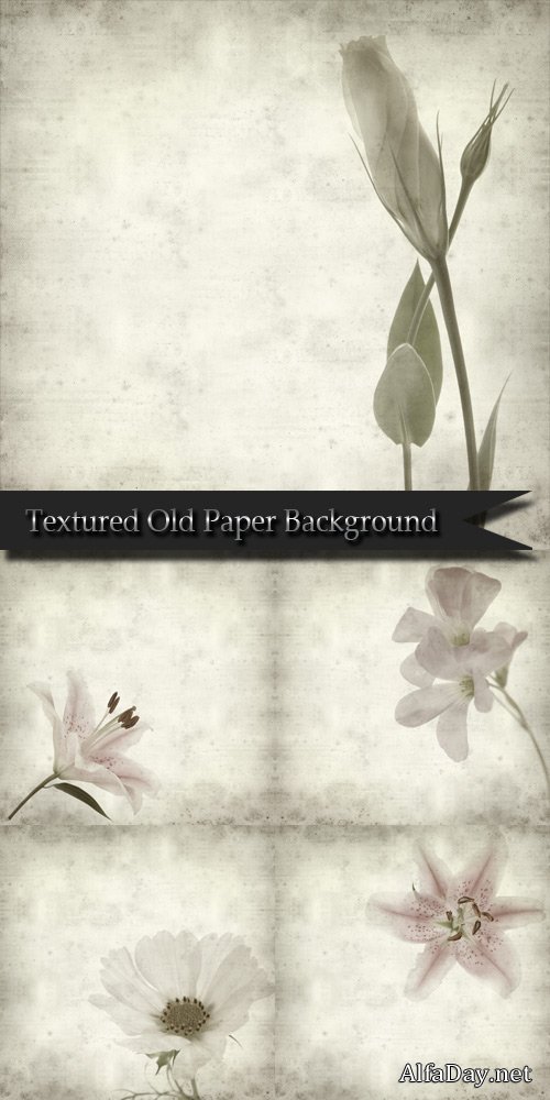 ��������� �������� � ������� / Textured Old Paper Background