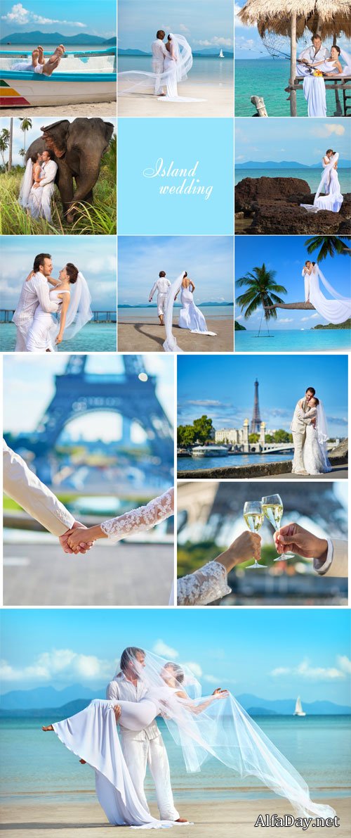 Wedding, the bride and groom - stock photos