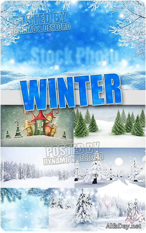 ���� - ��������� �������