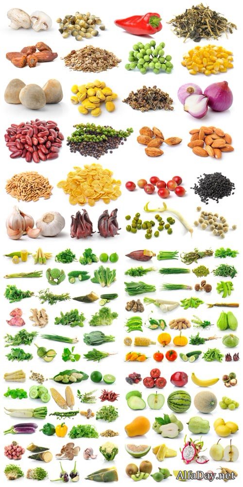 Vegetables, fruits, greens - stock photos