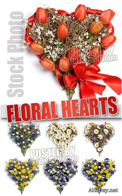 ��������� ������ - ��������� �������