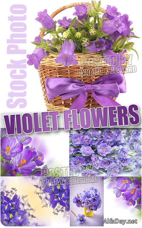 ���������� ����� - ��������� �������