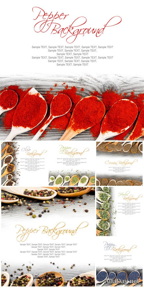 Spices on a white background - Stock photo