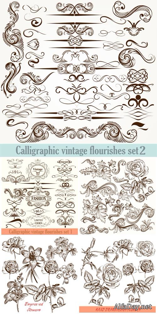 Calligraphic vintage elements vector