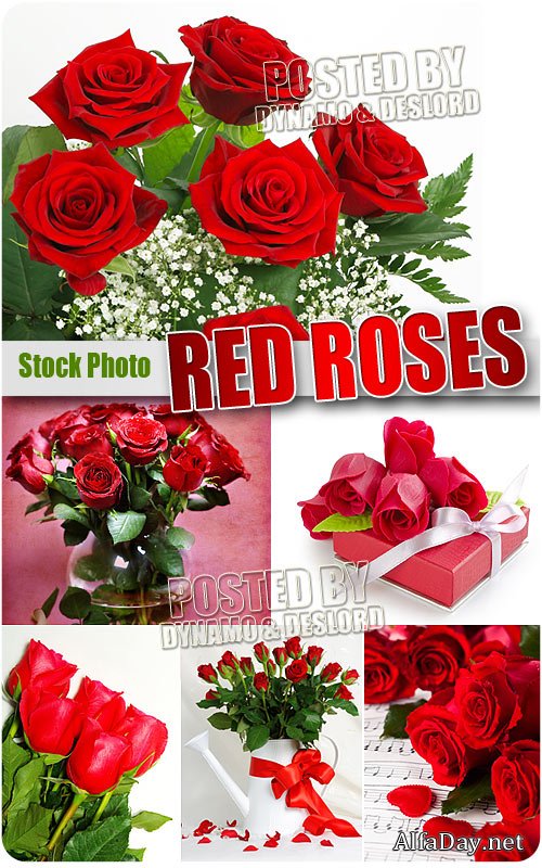 ������� ���� - ��������� �������