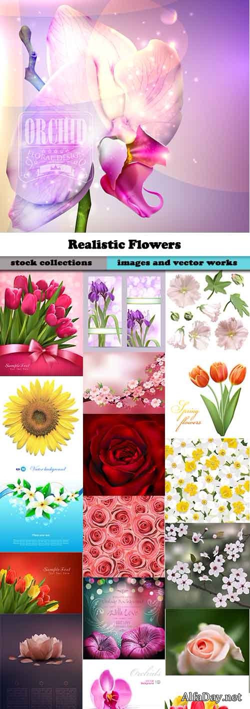 ������������ ����� ��������� ������� / Realistic Flowers vector