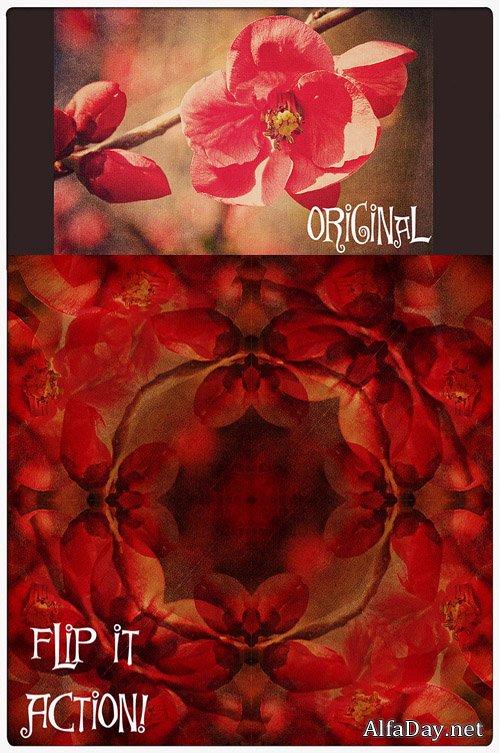 ����� ��� Photoshop - ������ ����������� � ��������������� �������