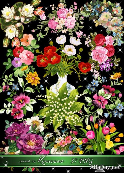 ���������� �����, ������ � ��������� ���������� �� ���������� ���� ��� ��������