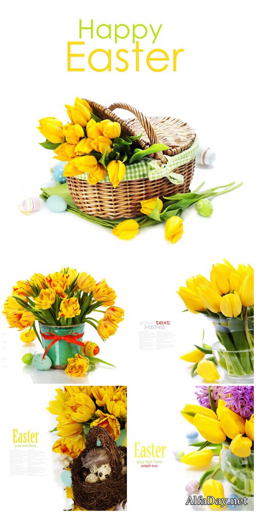 Easter, tulips, easter eggs - stock photos