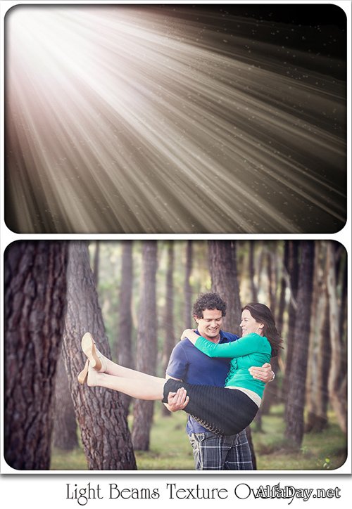 ��������� ���� - �������� ����