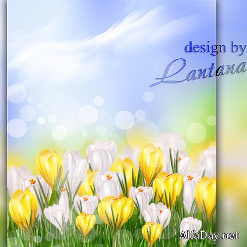 PSD �������� - ������ ������ ������������ ��������