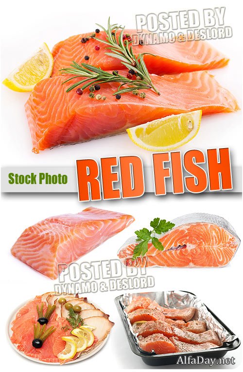 ������� ���� - ��������� �������