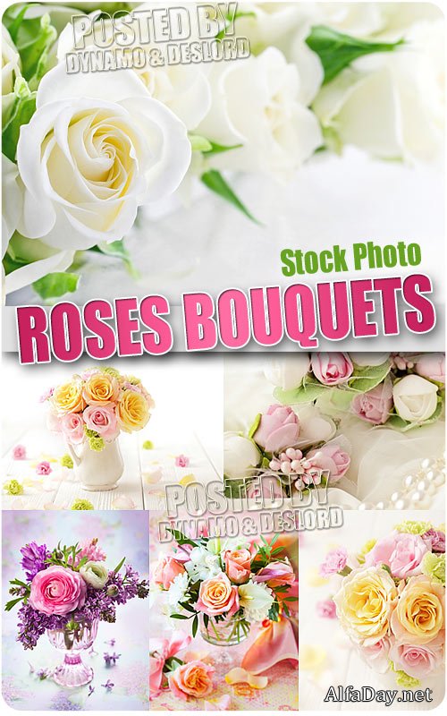 ����� ��� - ��������� �������