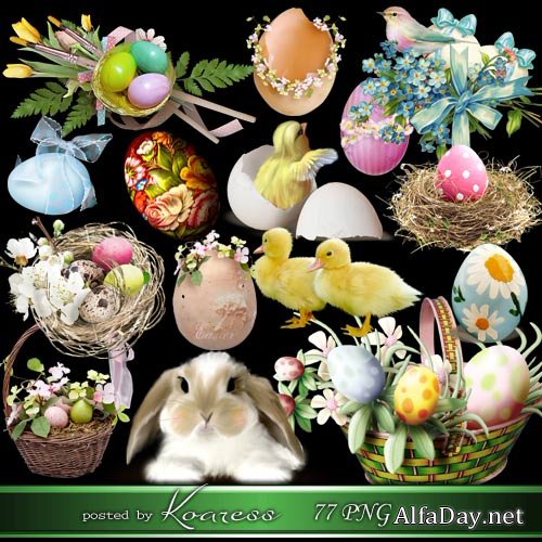 ���������� png ������� - ��������, �������, �����, ������� �� ���������� ����