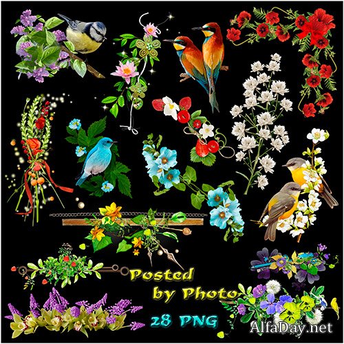 ������� �� ���������� ���� - �����, �����������, �����