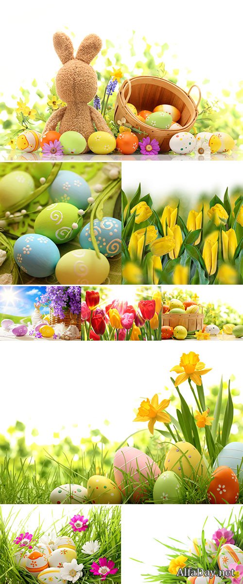  Stock Photo: Easter bunny and Easter eggs