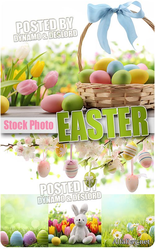 ����� 3 - ��������� �������