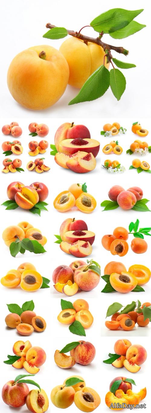 Ripe apricots and peaches