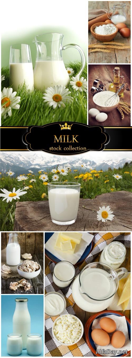 Milk, eggs and flour - stock photos