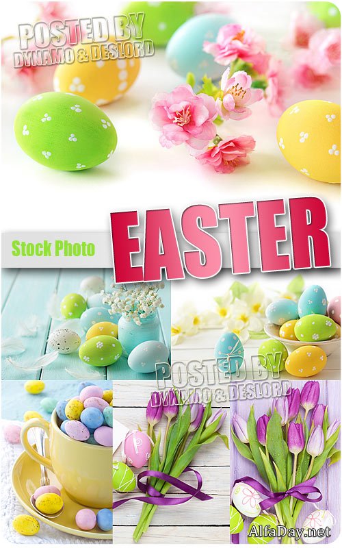 ����� ����, ���������� ����, �������� - ��������� �������