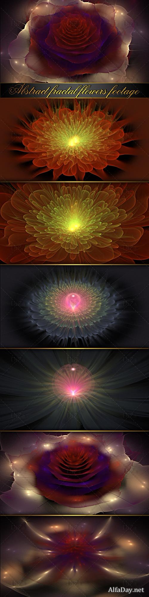 Abstract fractal flowers footage