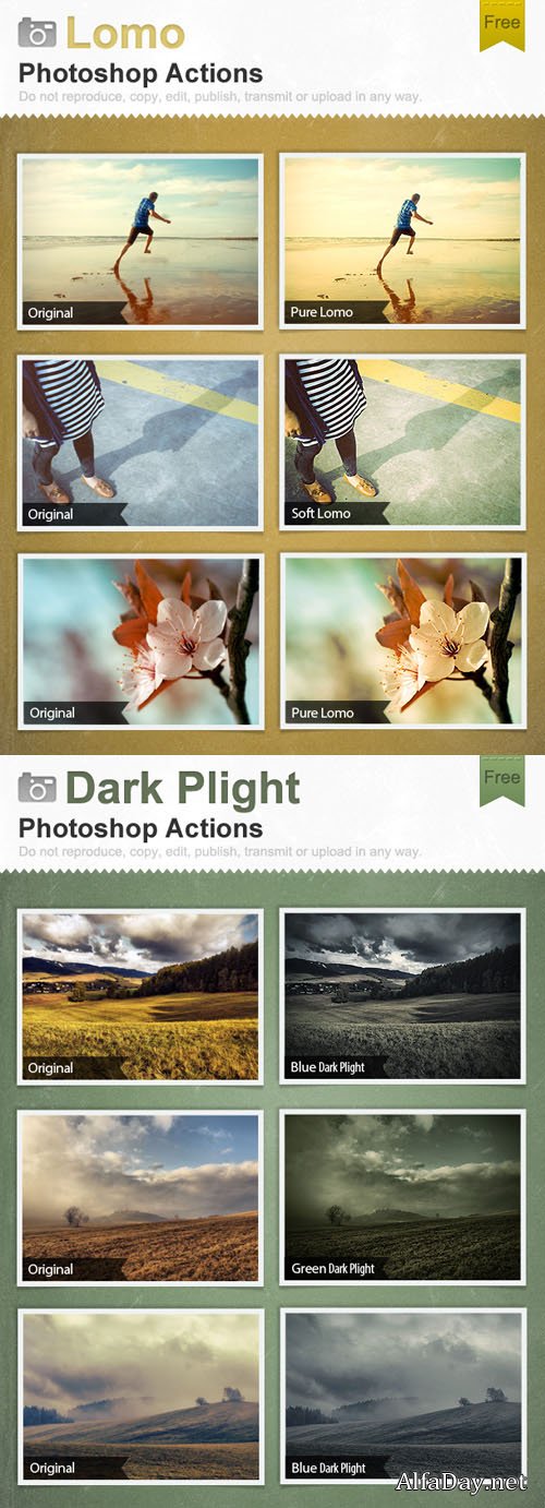 ������ ��� Photoshop - ���� � ������ ����������