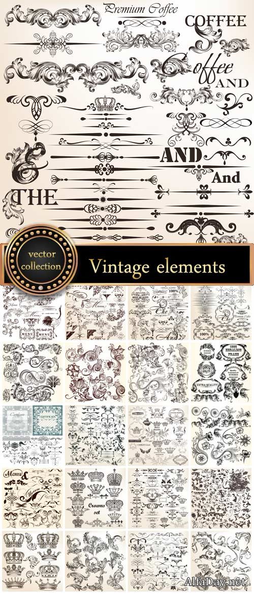 Vintage decorative elements, scrolls, ornaments vector