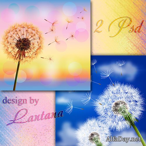 ������������ ���� - ��������� �������, ���� ������� � � �����