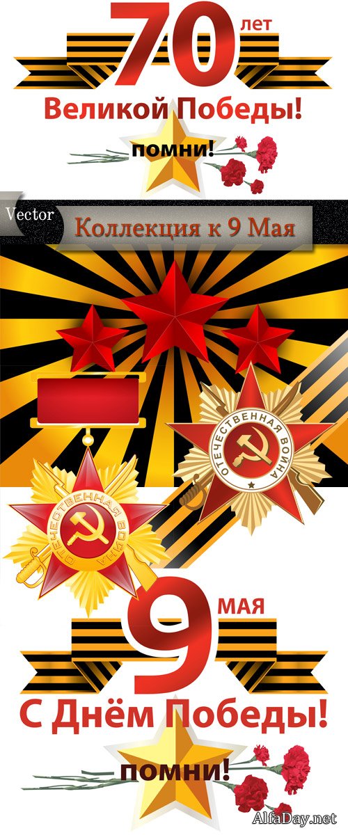 �����, ������������ �����, �������� - ��������� ������� � 9 ���, ���� ������