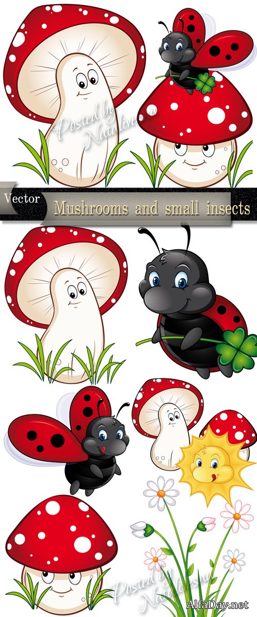 ����������� � ������� - �������� �������� ���������� ��������