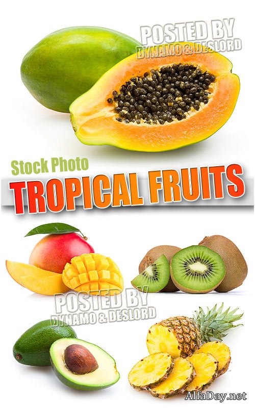 ����������� ������ - ��������� �������