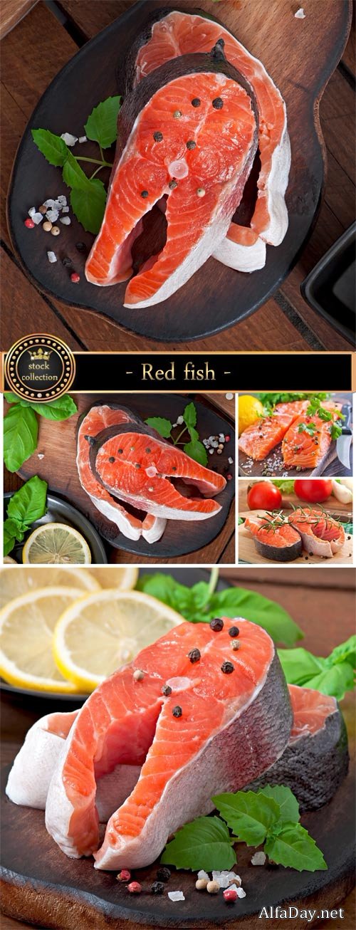 Red fish and spices - Stock Photo