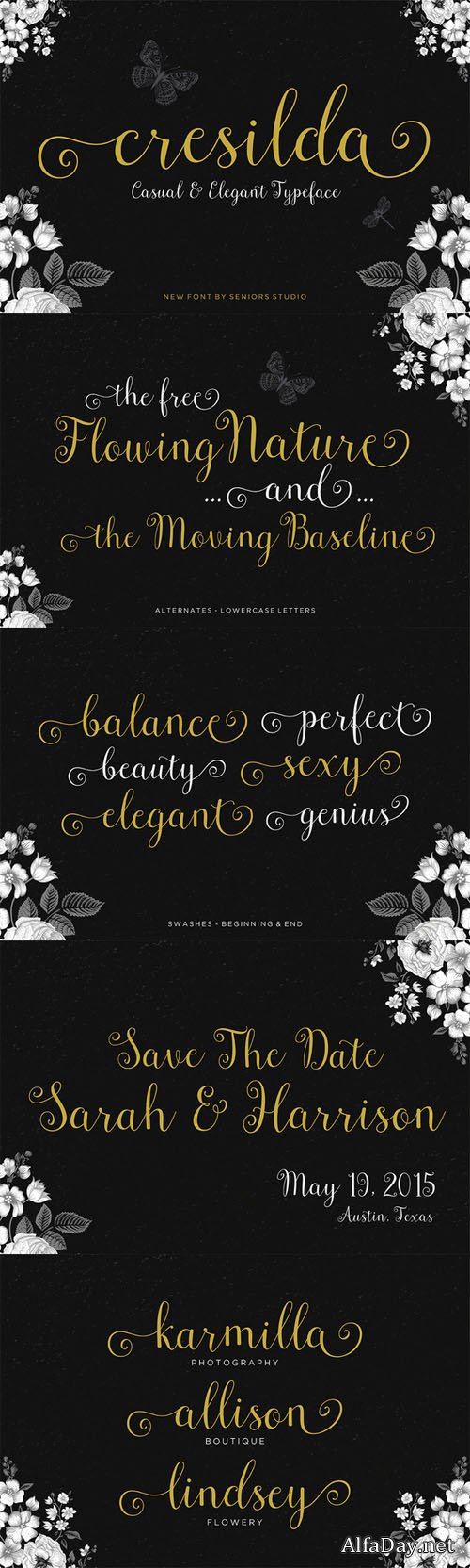 Cresilda Script Font Family - Creativemarket 179224