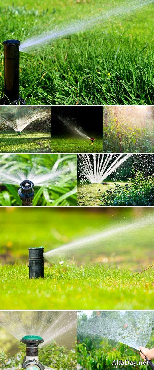 Stock Photo: Spinkler in garden, sunset