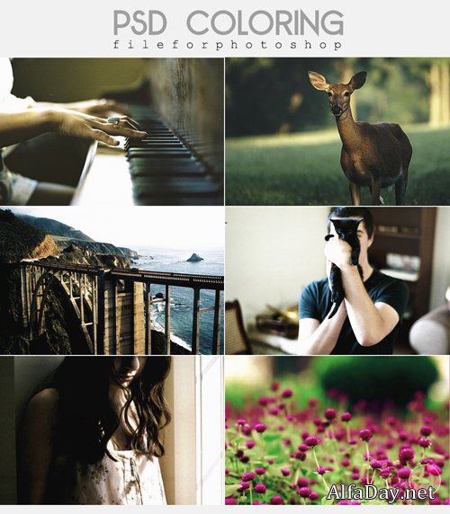 ������� ��� Photoshop - �������� ��������� ����������, ����� 49