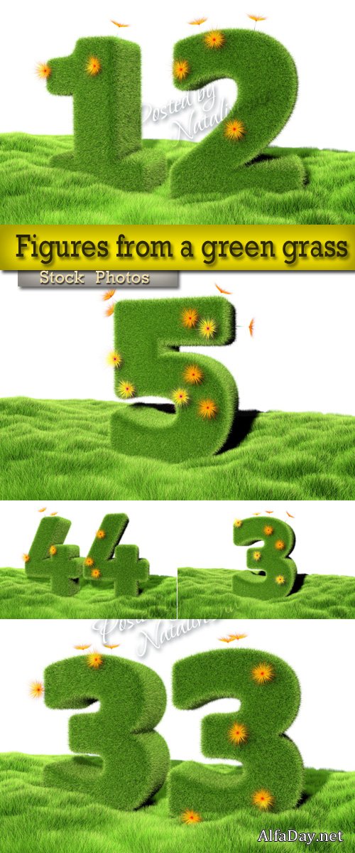 ����� �� ������� ����� � ������