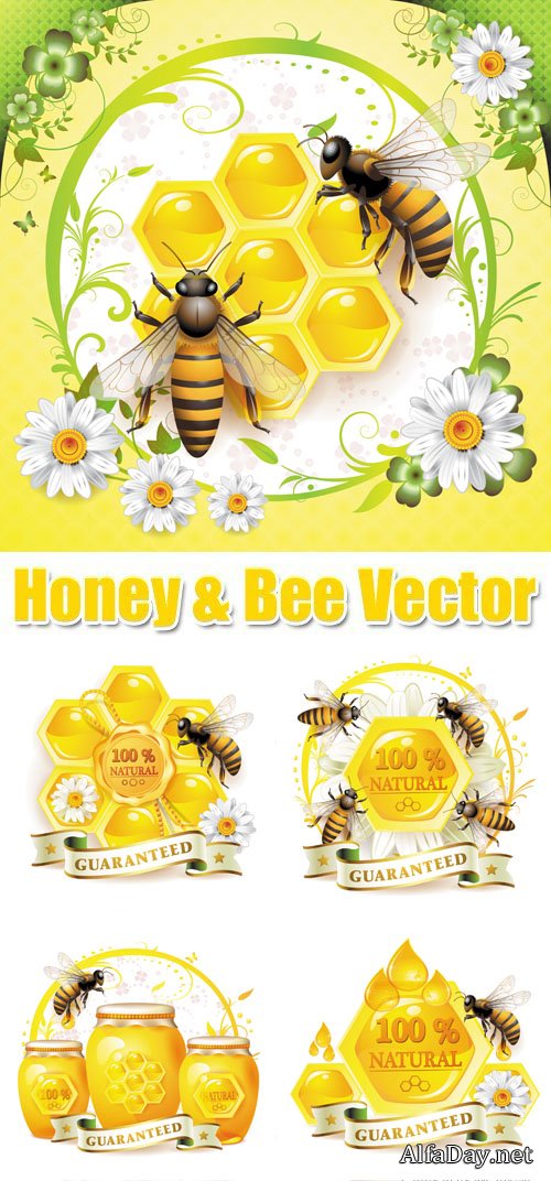 �����, ����, ���, ������� - ��������� �������