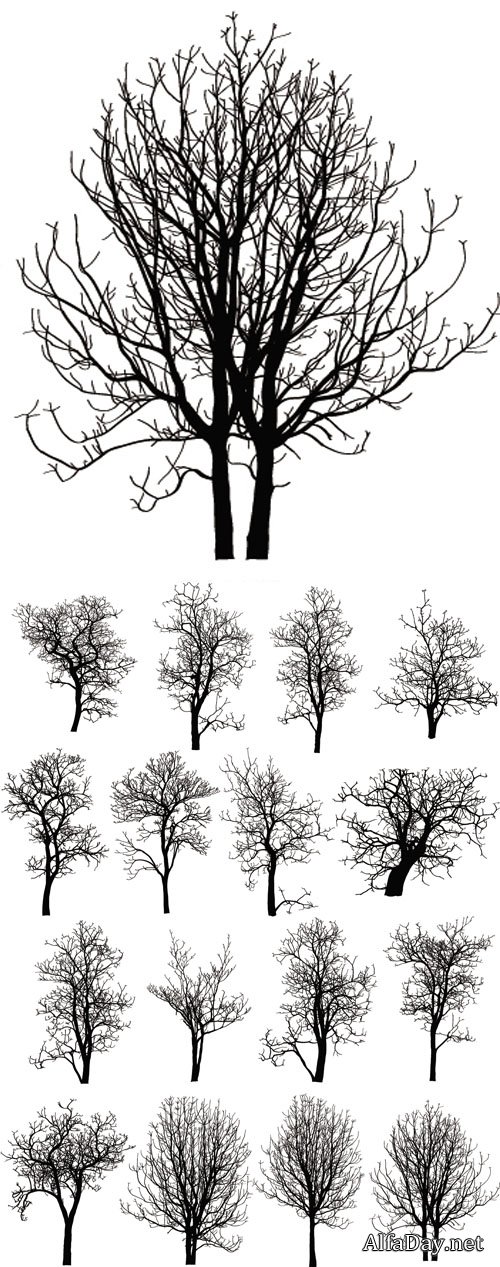 ������� ��� ������� - ��������� �������