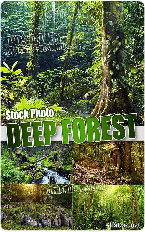 ����� ��� - ��������� �������